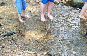 Menschen stehen barfu&szlig; in einem flachen Bach.