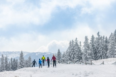 Klassisch Langlaufen im Wechsellgebiet, © Martin Fülöp